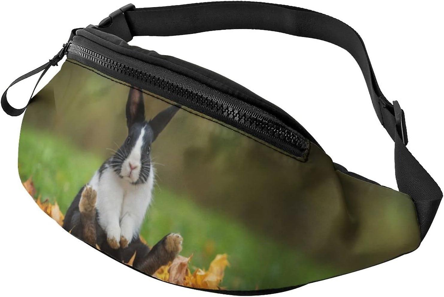 AR693ファニーバニースポーツクロスボディファニーパックハイキングウォーキングジョギング用のスタイリッシュな調節可能なストラップウエストパック