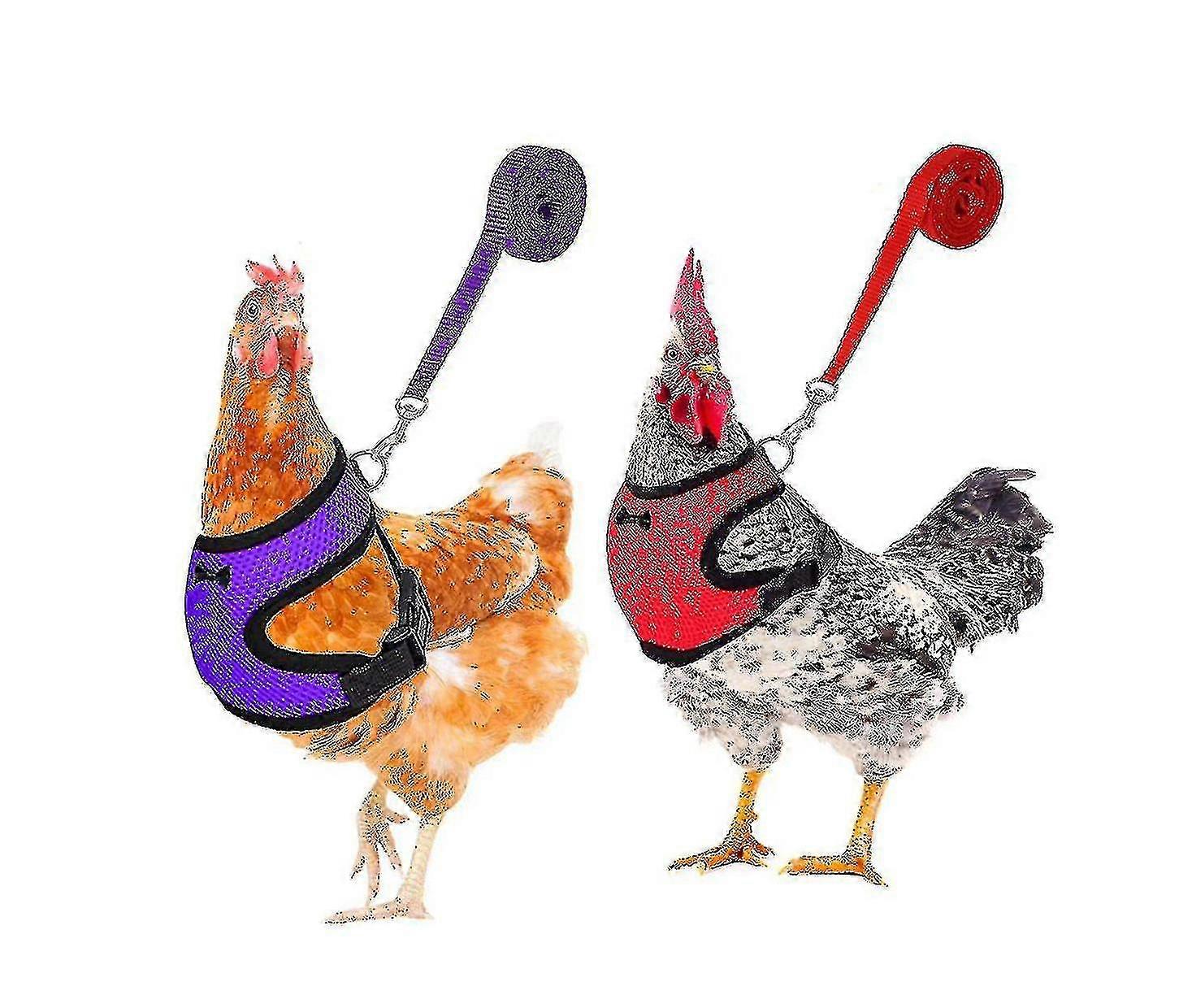 2pcs Chicken Harness And Leash, Modified Adjustable Breathable Harness Specially Designed For Chicken Duck Goose Training And Walking, Comfortable Si