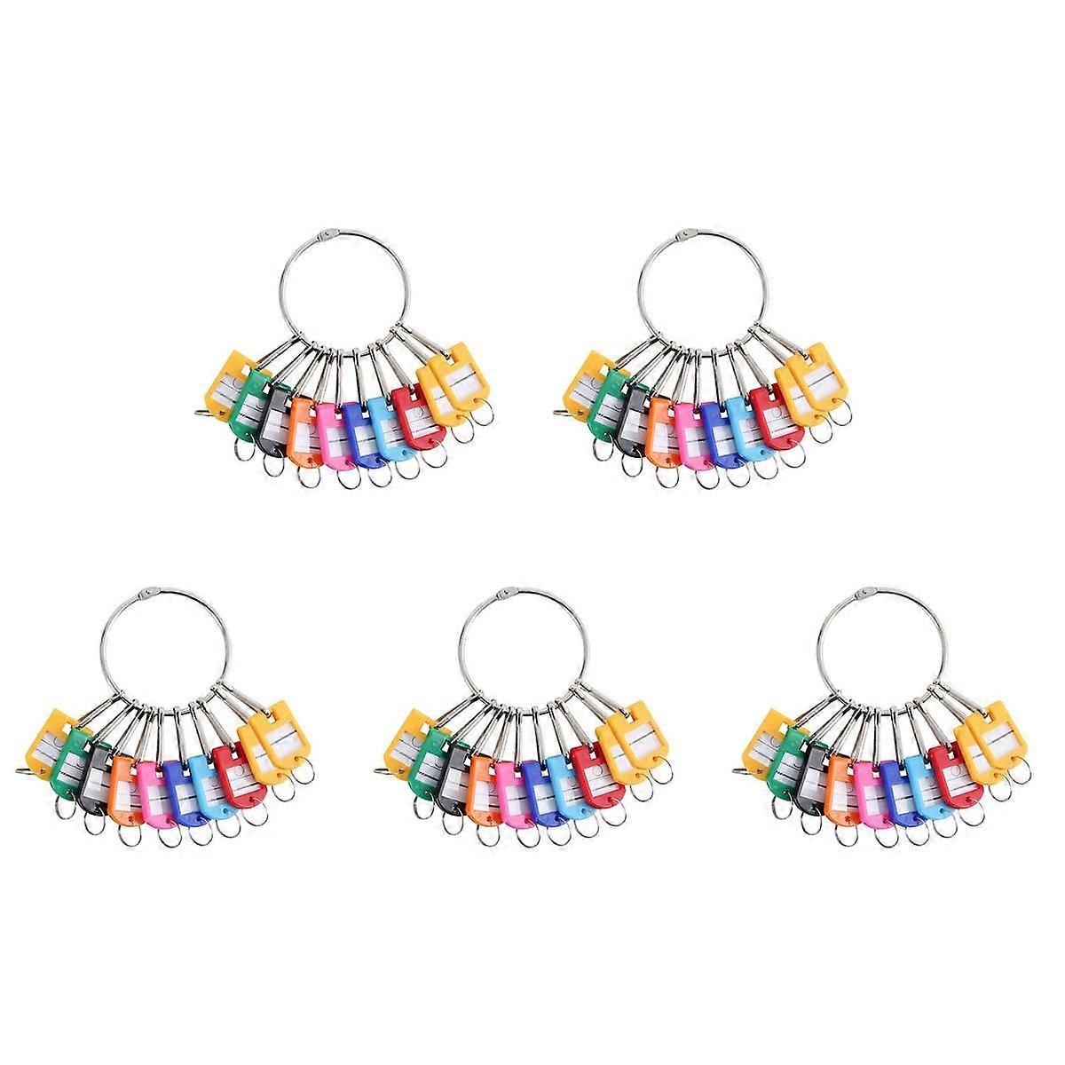 Portable Metal Ring Key Organizer with 50 Spring Hooks & Key Tags with Ring and Label Window