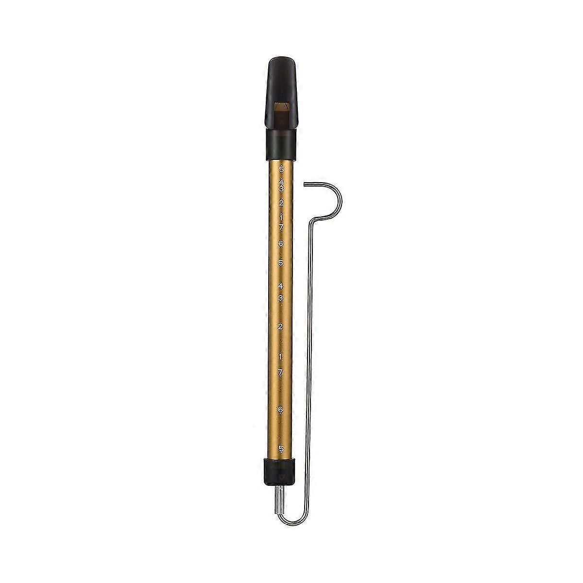 Metal Slide Whistle Scale Sliding Flute With Steel Sliding Rod Musical Instrument Toy For Children Flute (gold)