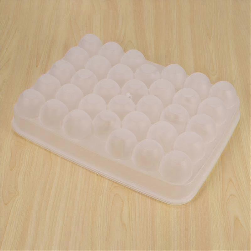 Plastic Clear 34 Grid Single-layer Egg Box Basket Organizer