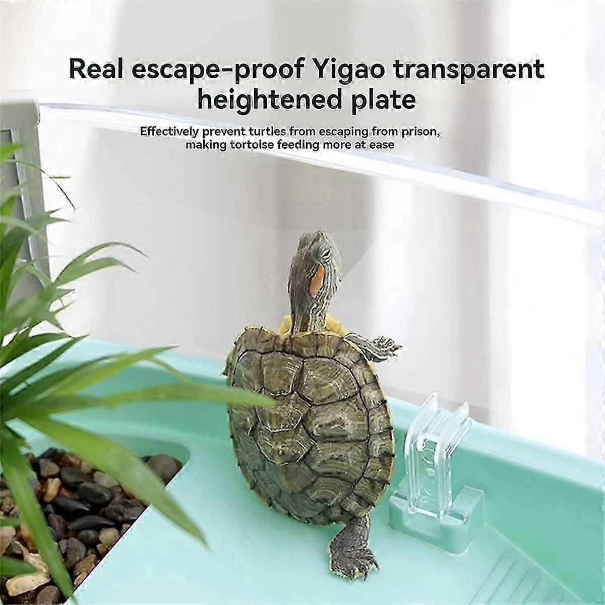 Transparency Turtle Tank House med områder for å avle fôr Svømme Bask Innhegning Vannbur Reptile Habitat Grønn Type