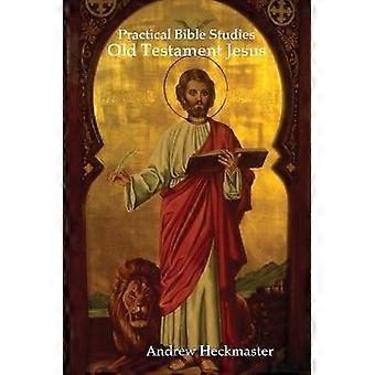 Practical Bible Studies: Old Testament Jesus