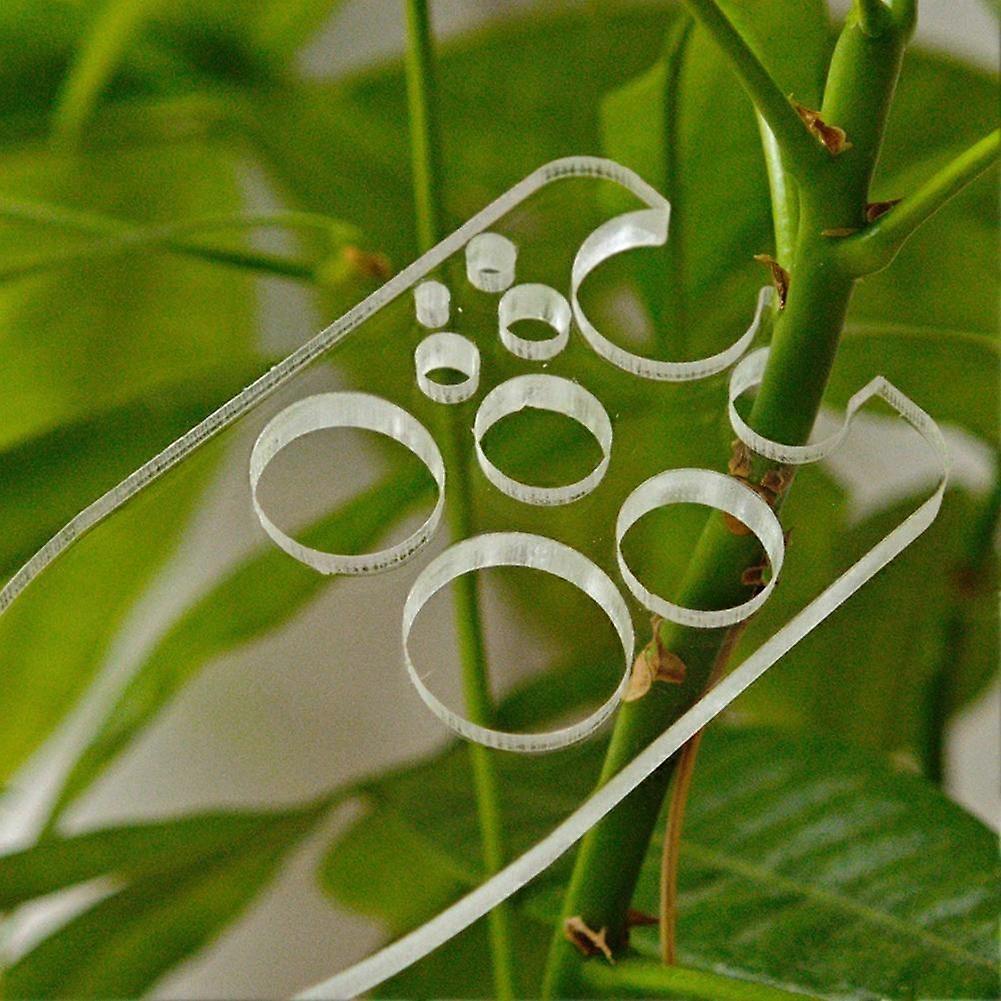 Herb Stripper Kale Leaf Remover Tool for Sala, Leaf Separator for Kale