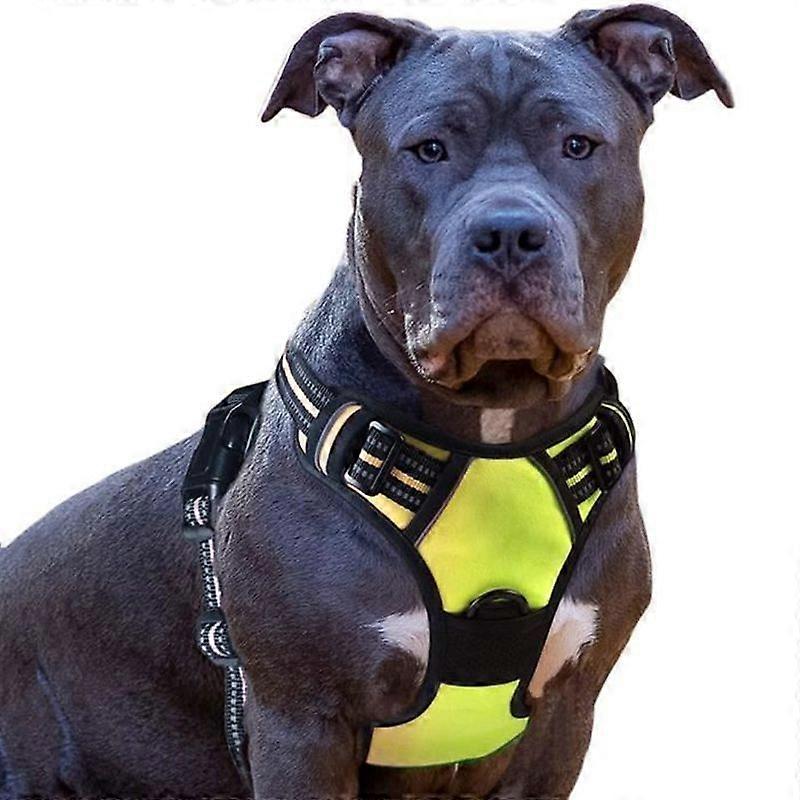 Dog Harness L No Pull Dog Harness Easy to Put on with Handle Control Reflective Dog Harness