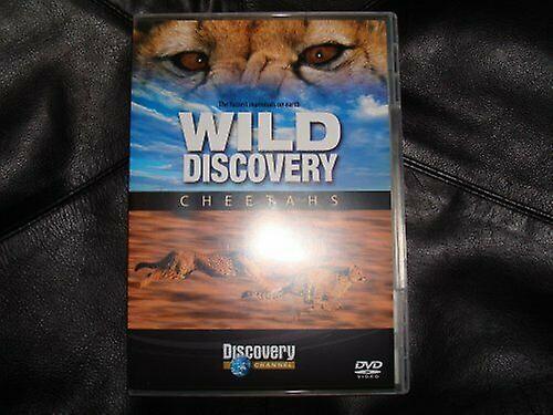 Wild Discovery Cheetahs DVD - Region 1