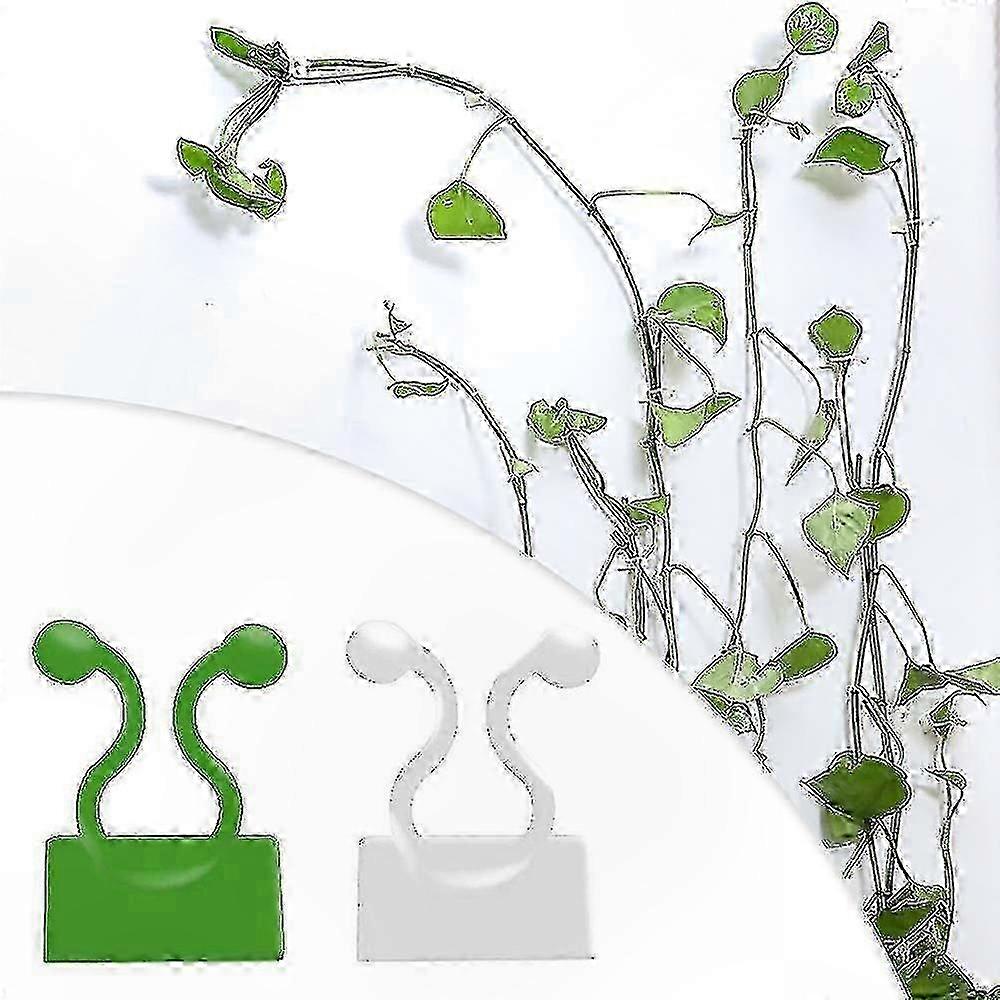 Invisible Plant Climbing Clips - Adhesive Wall Hooks for Vine Support (10/20/50 Pack)