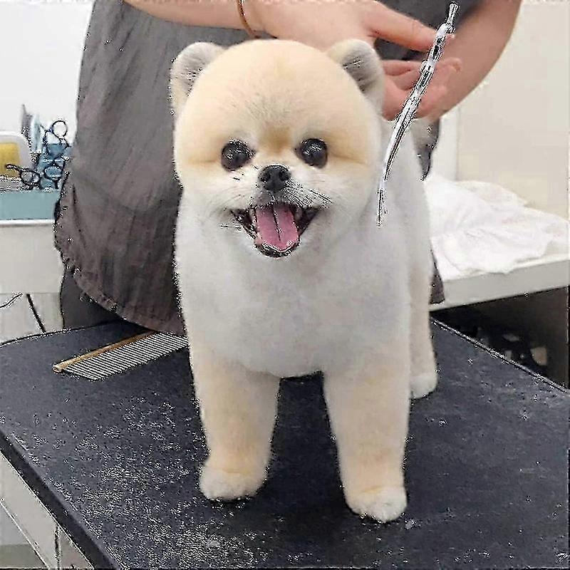 7 Inch Curved Dog Grooming Shears - Professional Pet Scissors for Styling and Trimming