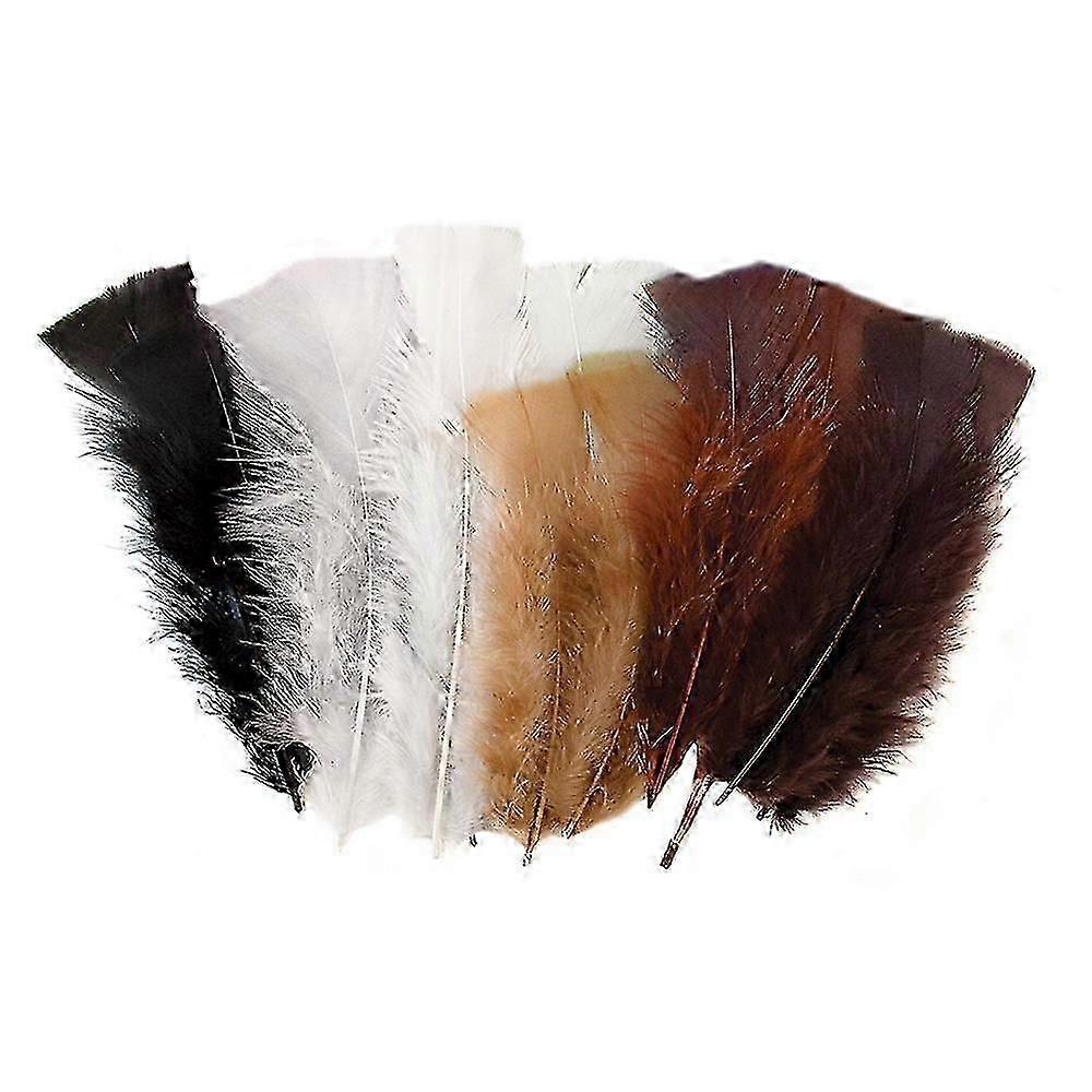 Creative School Supply Feathers 60g 240pcs
