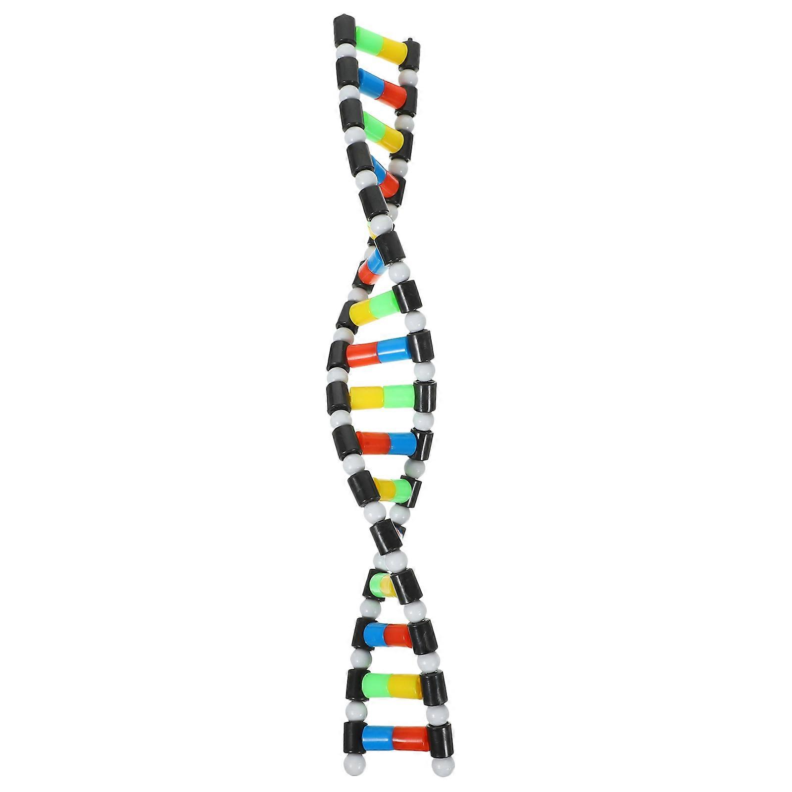 Dna Model Double Helix Kit for Science Teaching 12Pcs Plastic