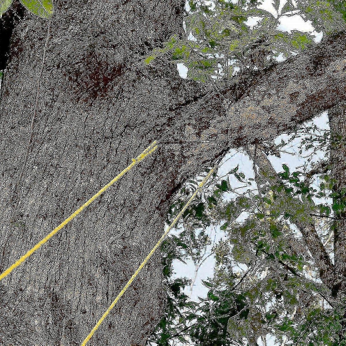 48' Portable High Reach Tree Hand Rope Chain Saw Blades On Both Side