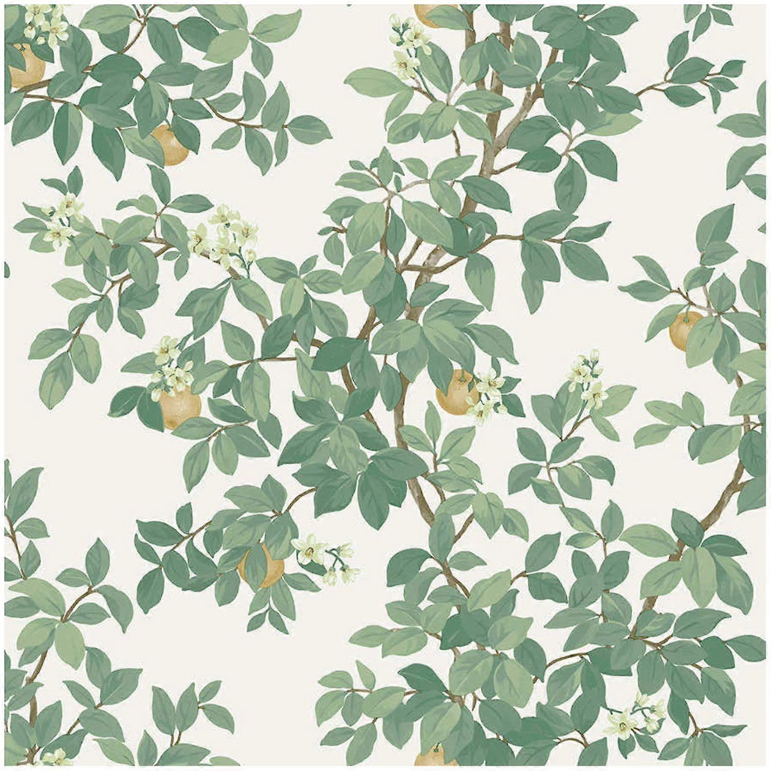 Holden Decor Orange Tree Cream Green Wallpaper