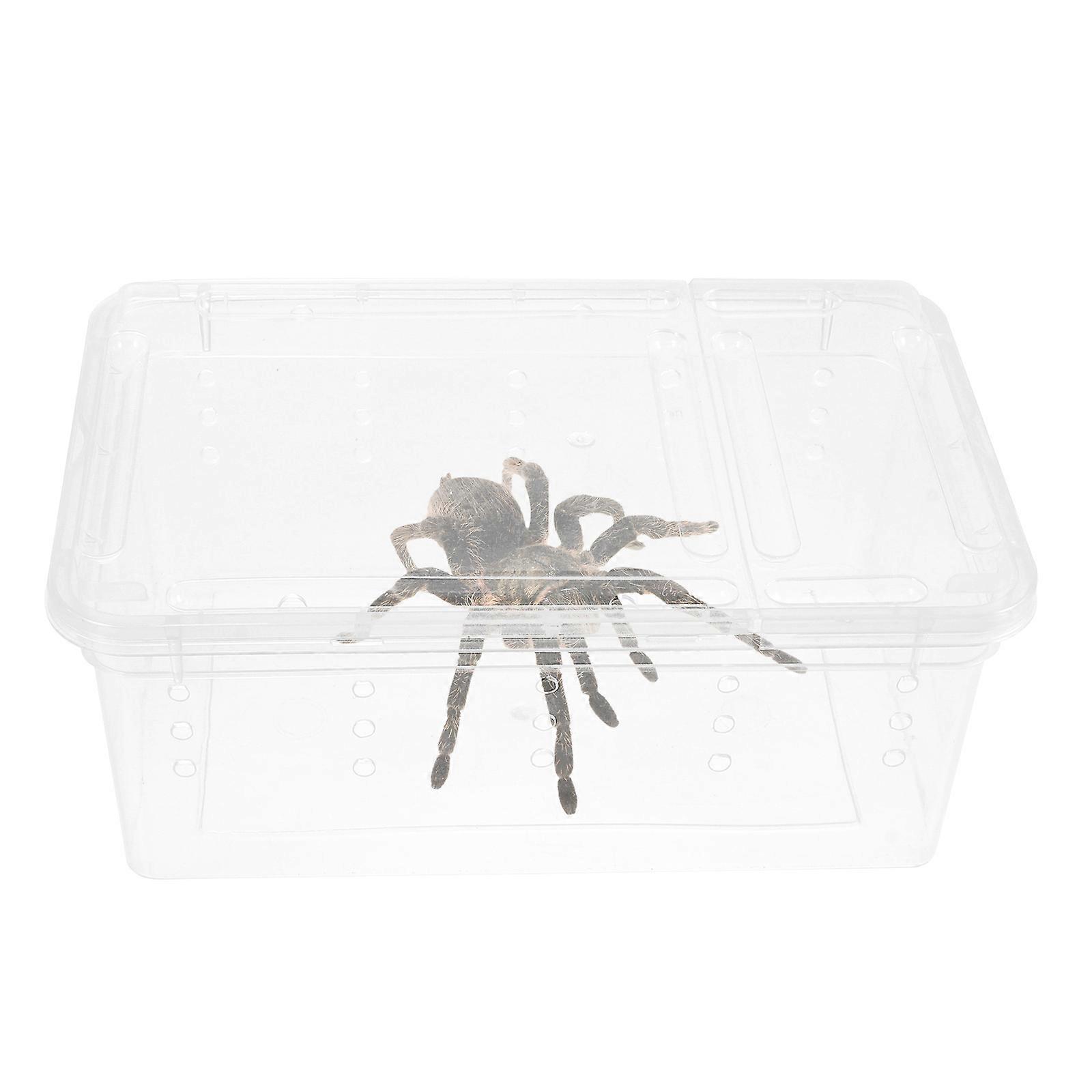 Transparent Plastic Insect Feeding Box for Spider Breeding 1Pcs