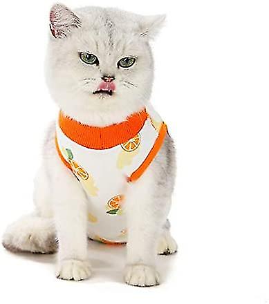 Cats Resume To Take Weaning Clothes After Surgery