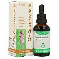 Horsetail Extract 50 ml