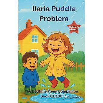Ilaria puddle problem