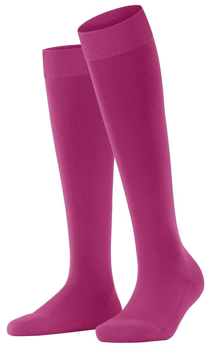 Falke Climawool Knee High Socks - Berry Pink