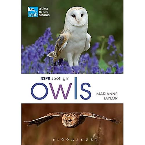 RSPB Spotlight Owls