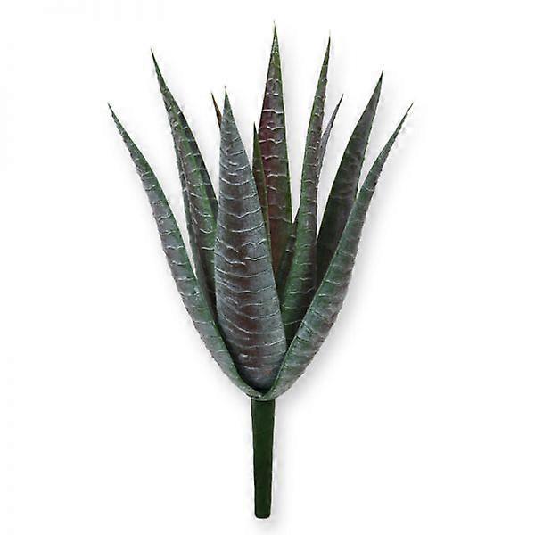 Aloe bouquet (30 cm)