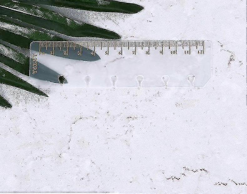 ruler frosted planner agenda dokibook for 6 holes loose leaf spiral notebook