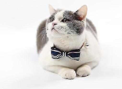Pet Tie(Blue Stripes)