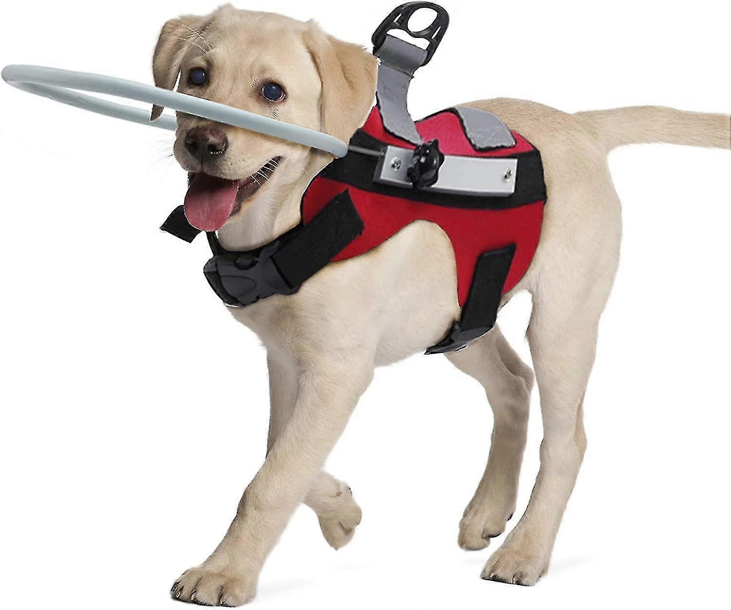 Blind Dog Harness Guiding Device,blind Dog Halo,pet Anti-collision Ring To Protect Cats And Dogs With Blindness, Blurred Vision