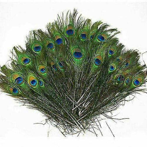 100 Pcs Plumes naturelles de queue de paon 10-12 '' pour la décoration de bricolage de bouquet