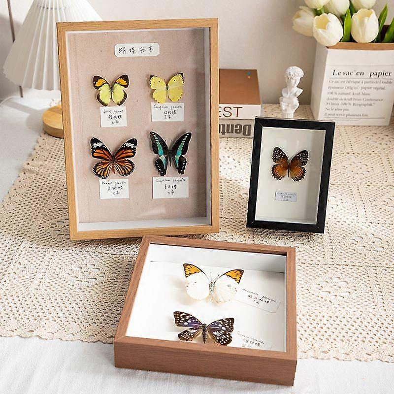 Diy Butterfly Insect Specimen Display Frame Wooden Picture Frame For Home Decor Office Holiday And Art Projects Unique Artwork Photo Frame