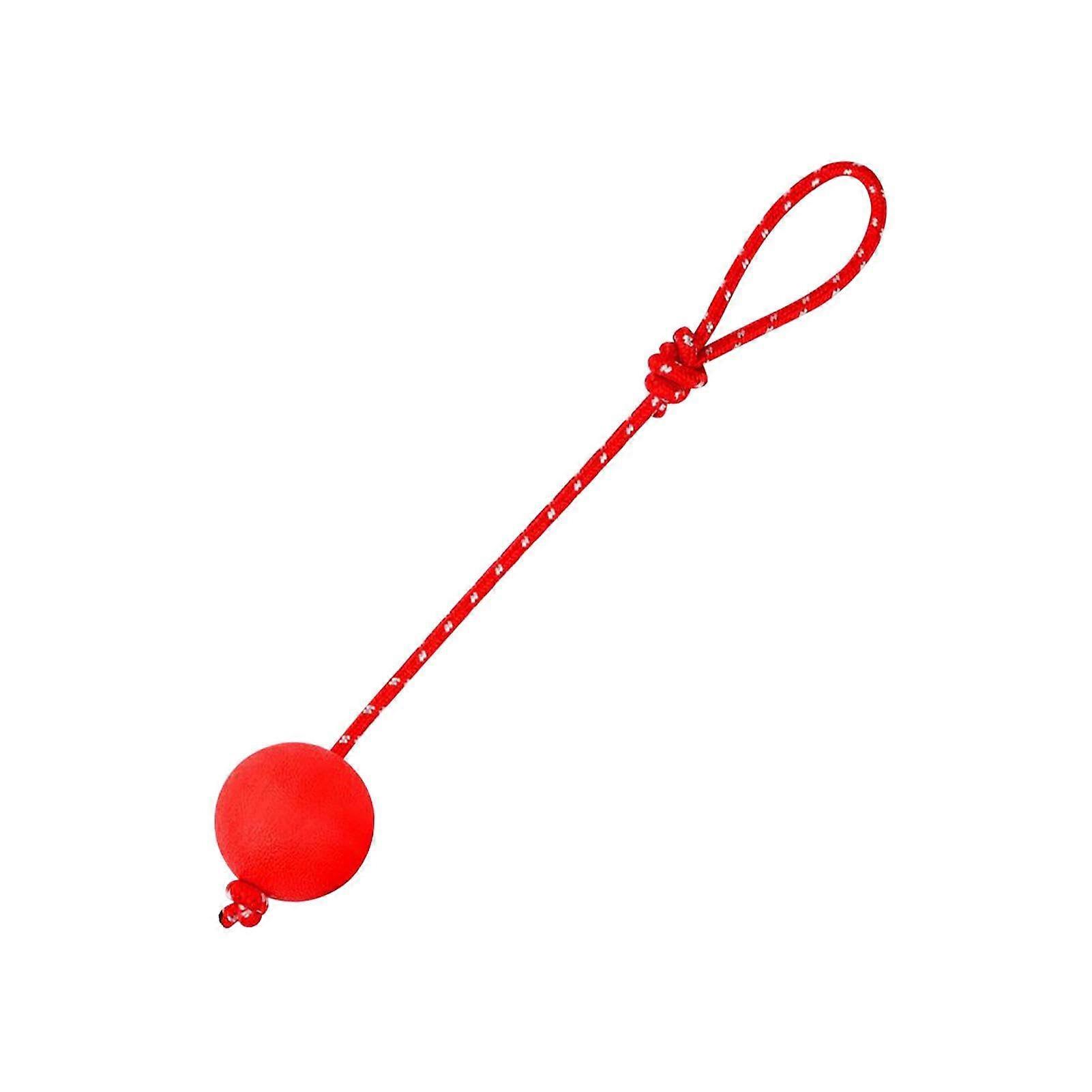 Rope Ball for Dogs - Elastic Solid Rubber Chew Toy, Durable Training Fetch Ball for Medium, Large & Small Dogs