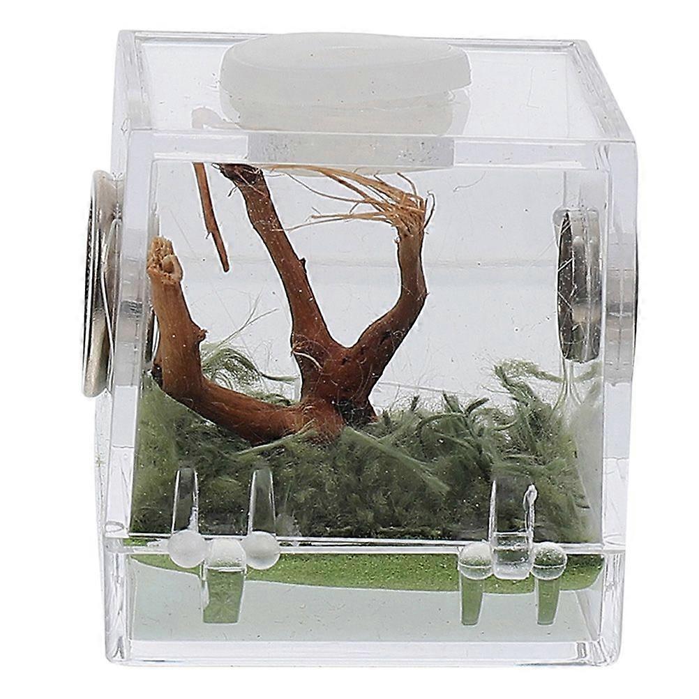 Spider Breeding Box Insect Breeding Box Acrylic Landscape Box Reptile Breeding Case