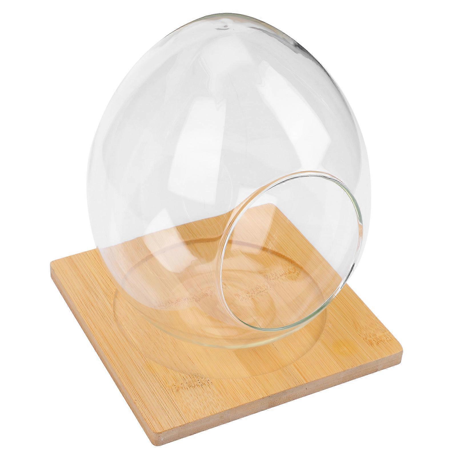 1 Set Multi-functional Glass Vase for Storage Micro Landscape Bottle Ecological Planter