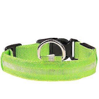 Collare per cani con LED in nylon regolabile e resistente alla pioggia XM Culture 2025