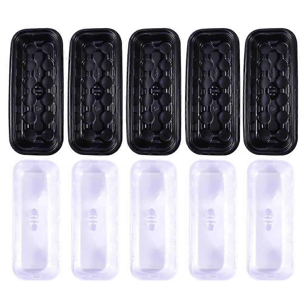 Hydroponic 2-in-1 Plant Pot for 10Sets