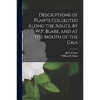 Beschrijvingen van planten verzameld langs de route, door W.P. Blake, en aan de monding van de Gila