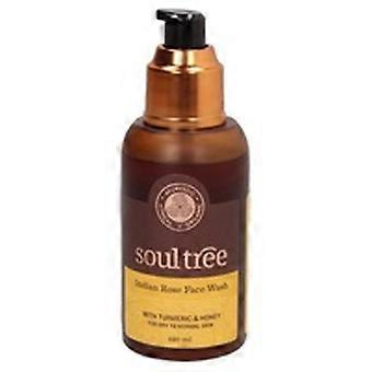 Rose and turmeric facial cleansing gel 120 ml