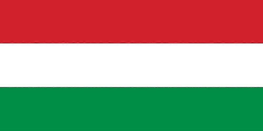 Hungary Flag CU0184 WJ