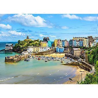 Port Tenby United Kingdom-Jigsaw Puzzles for Adults Unique Shape Best Gift for Adults SQZ1089