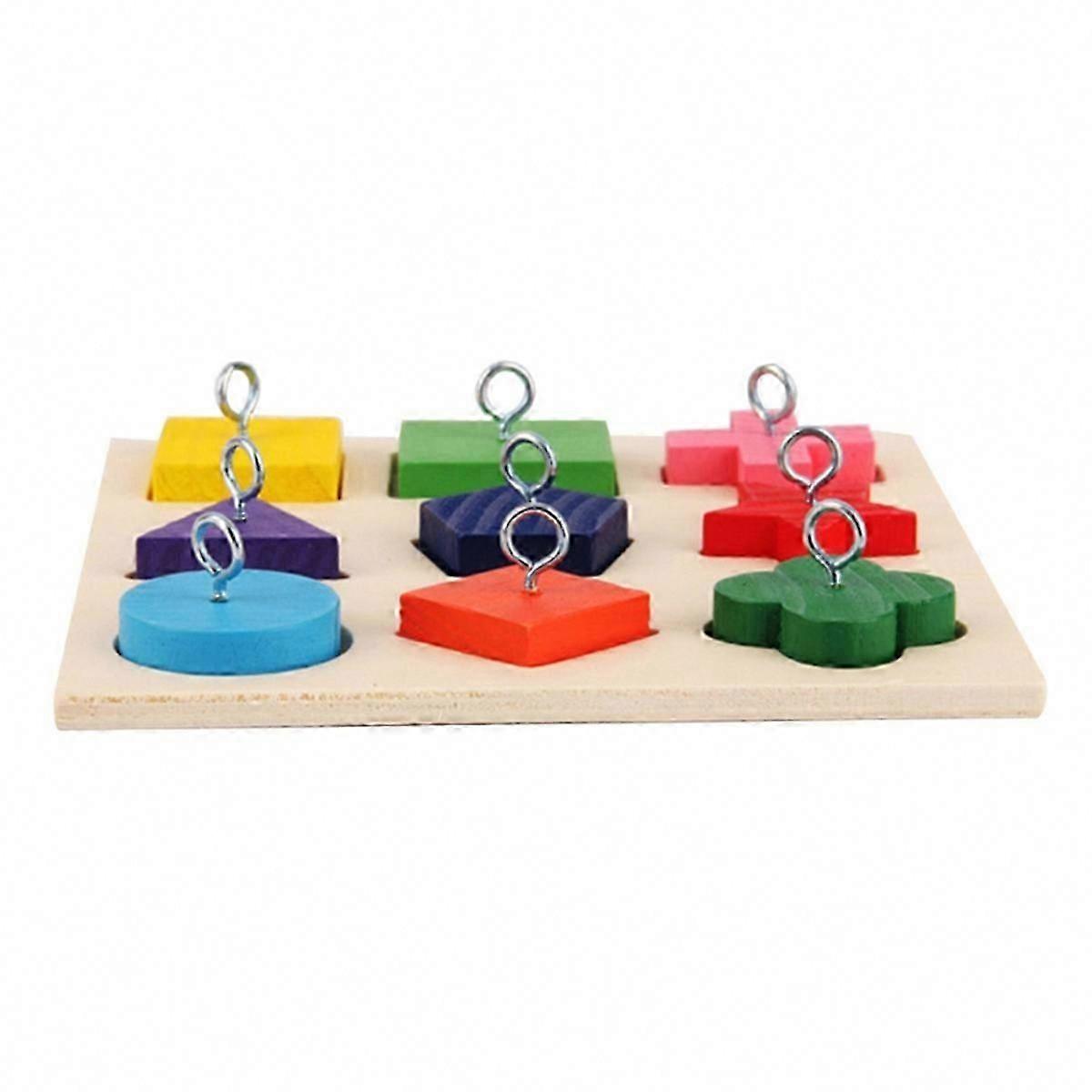 Parrot Educational Toys for Interactive Training and Learning Fun