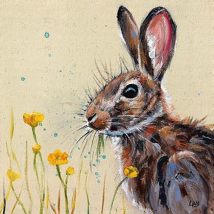 Louise Brown Buttercup Bunny Framed Canvas Print