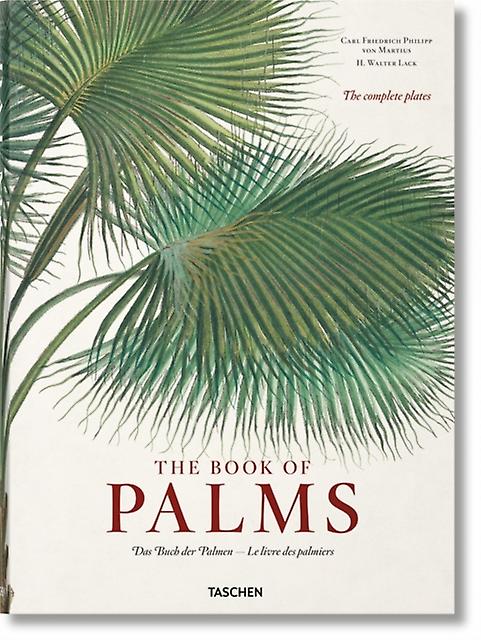 Martius. The Book Of Palms by H. Walter Lack Paperback Book