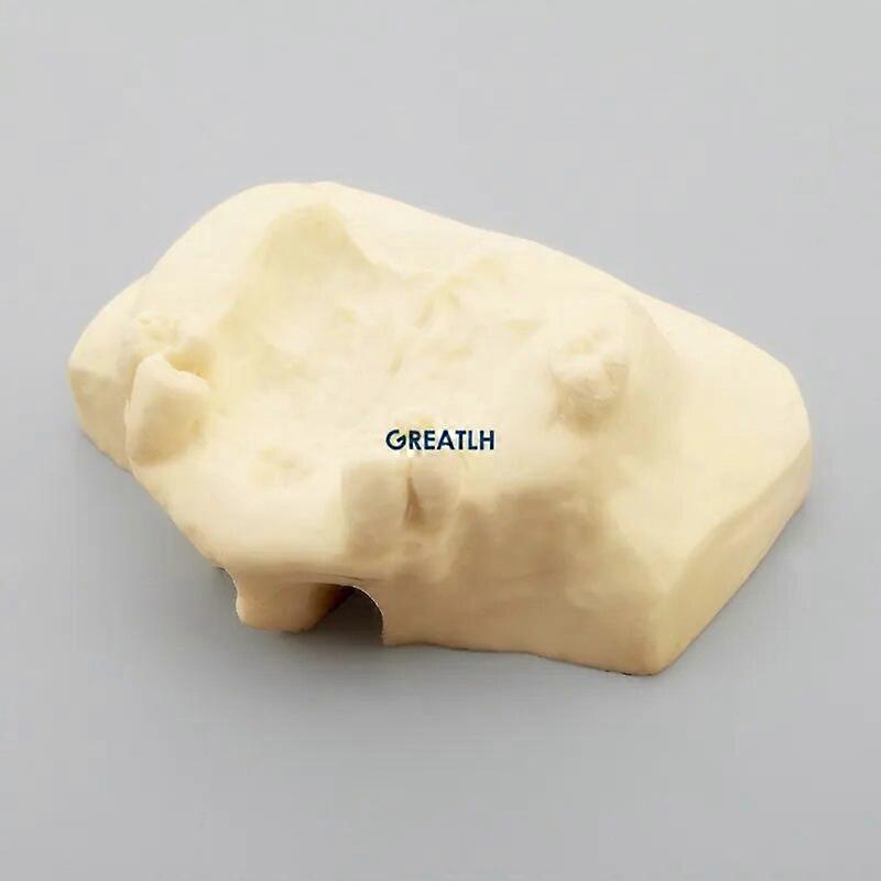 Dental Lifting Practice Teeth Model Dental Teaching Model 2013F