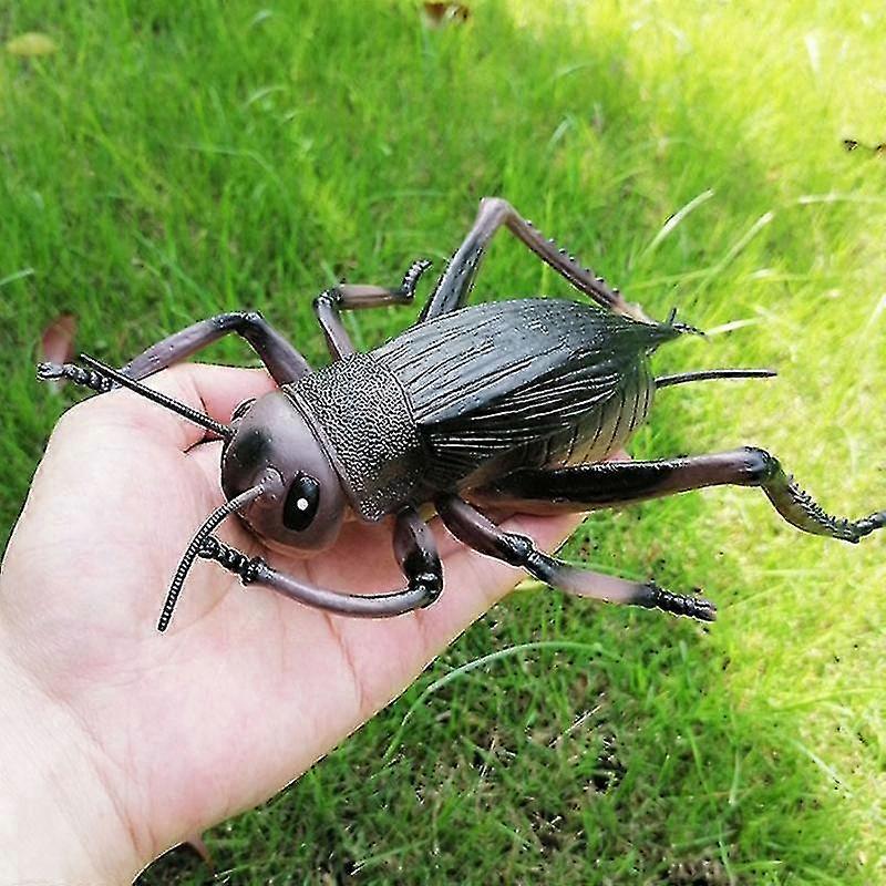 Insect Simulation Model Toys Simulation Wildlife Model Ornaments Creepy Lifelike Fake Spiders Cricket Ladybug Grasshopper Ant Dragonfly Realistic Inse