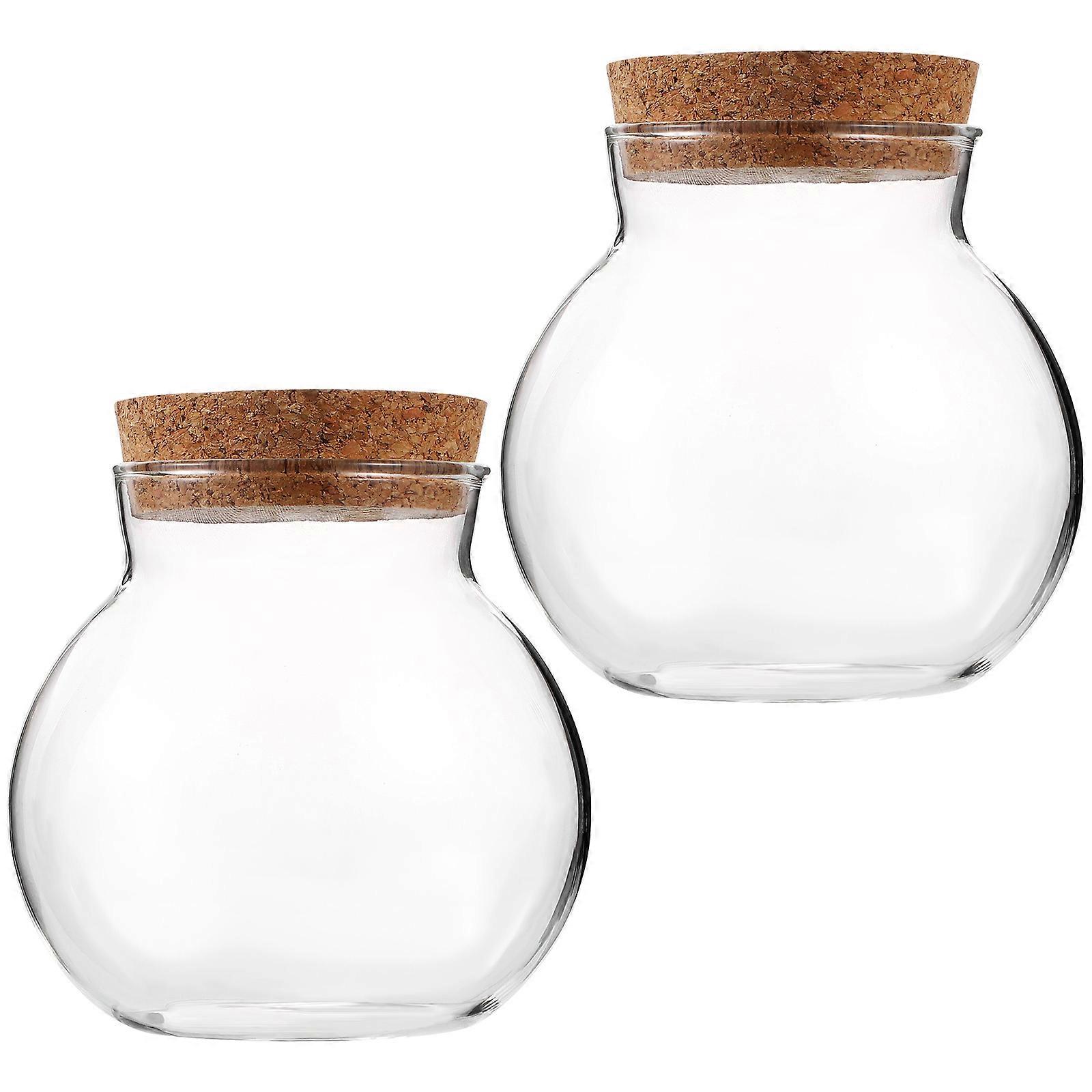 Plant Terrarium Jar Clear Glass Bottle Spherical Shape Diy Projects Hobbyists 2Pcs