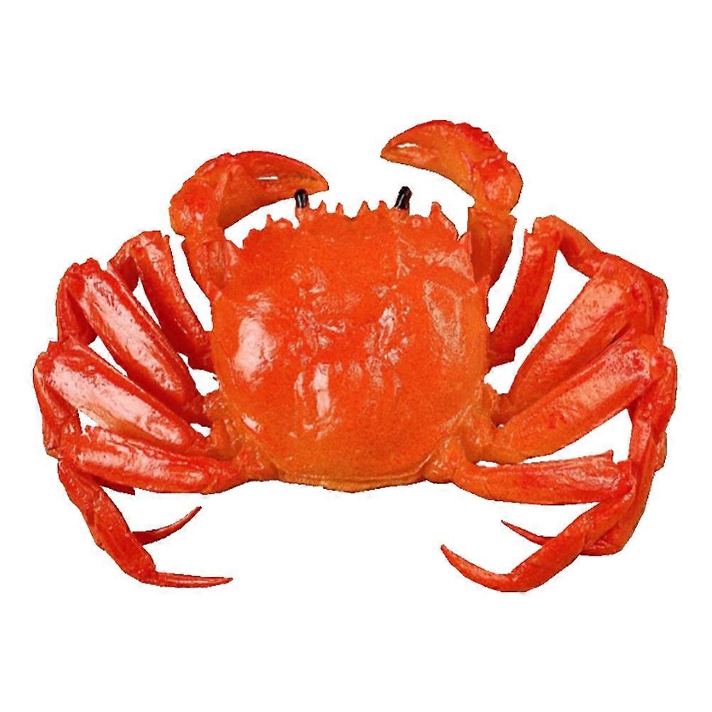 It sounds like you're describing a **realistic artificial crab model** designed for use in educational or decorative settings, particularly in home