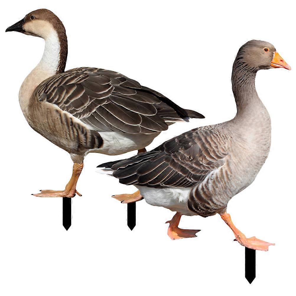 Garden Decorative Yard Stakes Acrylic Duck Inserts 6Pcs Set