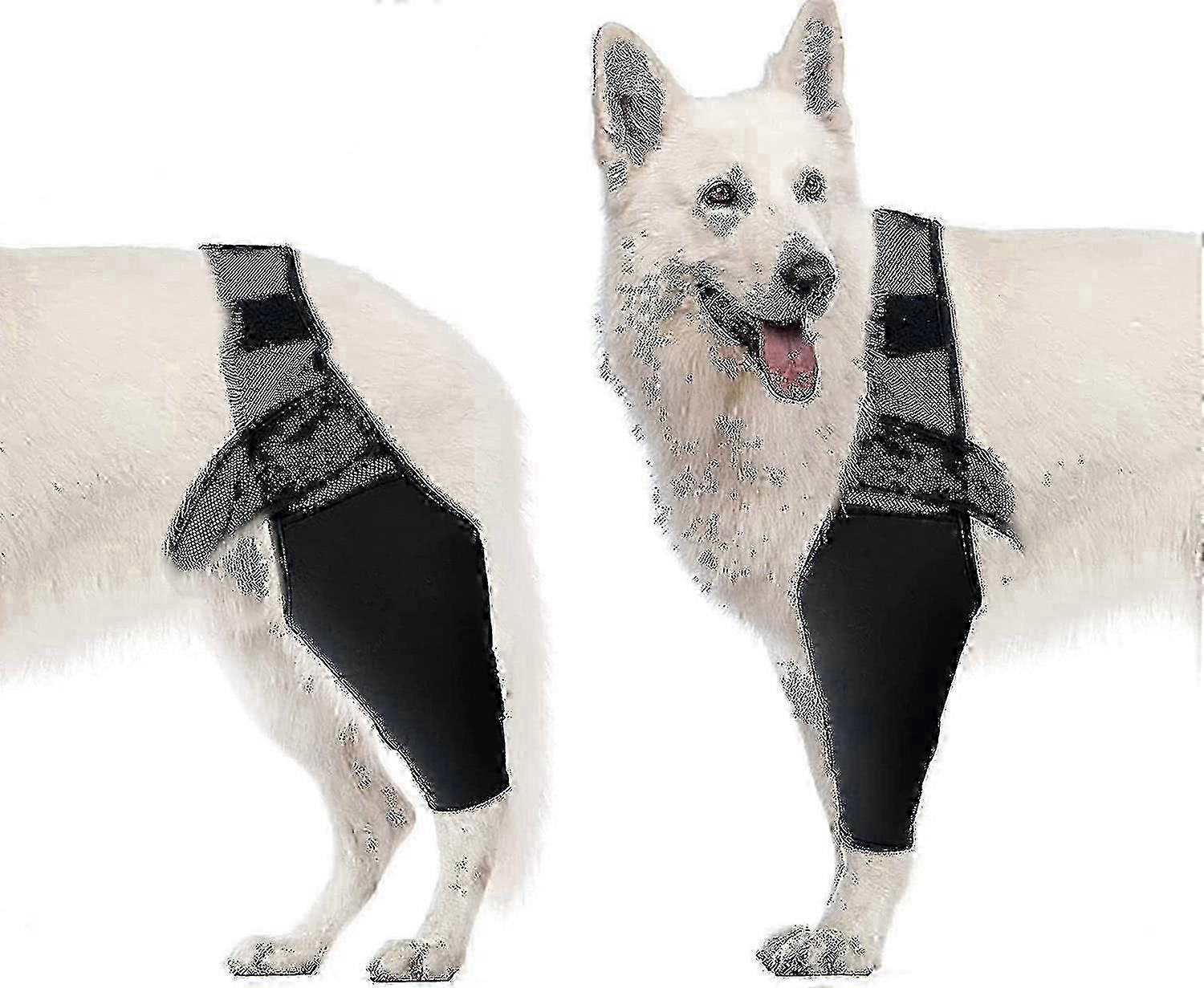 دعامة كوع الكلب ، دعامة الركبة لضغط الكلب ، دعم الكوع والكتف ، خلل التنسج ، التهاب المفاصل ، نسيج الكوع ، تقرحات الضغط ، خلع الكتف