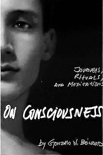 On Consciousness