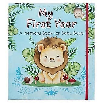 Con amore il mio primo anno un libro di memoria per neonati Blue Keepsake Photo Book