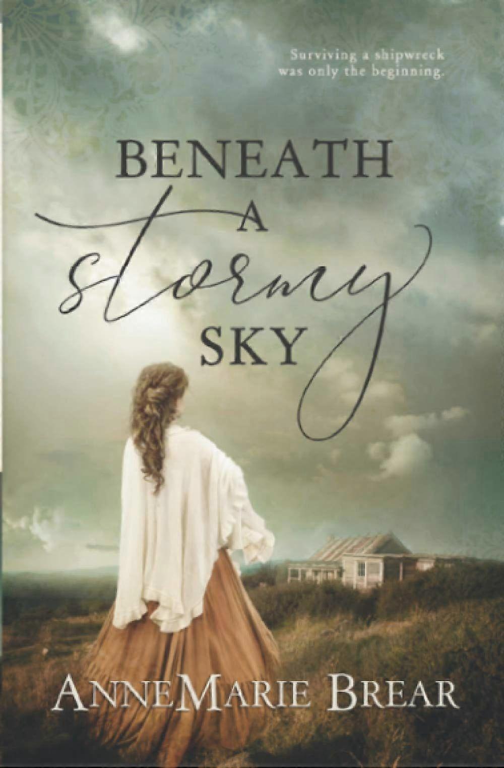 Beneath a stormy sky