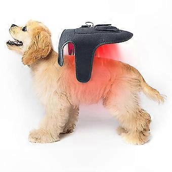 Ceinture de luminothérapie infrarouge rouge pour chiens et chats, appareil portable avec 42 LED pour le soutien articulaire